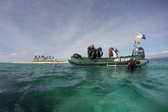 Just before the dive...
