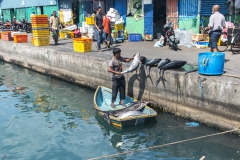 Male's fish market (I)