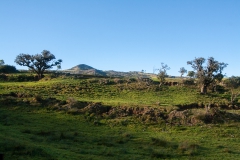 23-Joris_BERTRAND_Plaine-des-Cafres